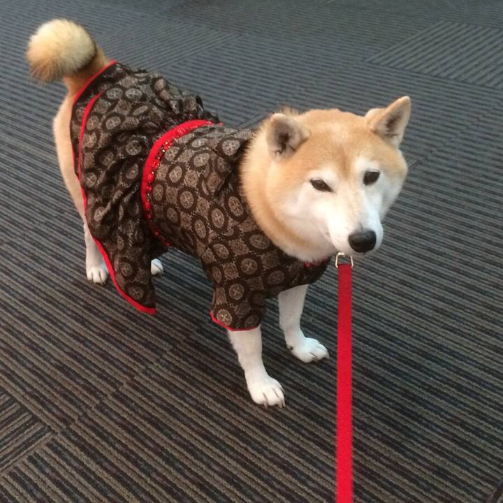 83fb623c 0db4 4eda b14c 55d9163cfbe6 1512397272917