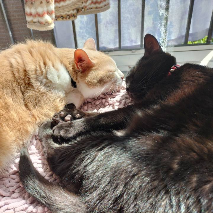 83fb8bb0 a716 4e0d 8345 d6b19b719c03 1651282861675