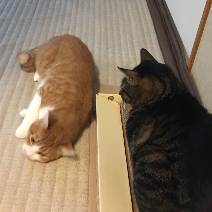 83fb9155 0a54 4f27 94e3 e906395c0c6a 1509019976864