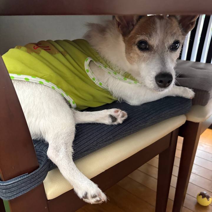 83fbda01 e3a1 435f 9b4e e026851b57cc 1757117254931