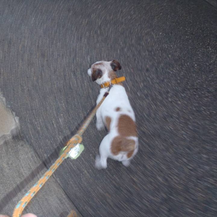 83fbe2db 0961 4927 86c8 324c840a9b13 1567251106184