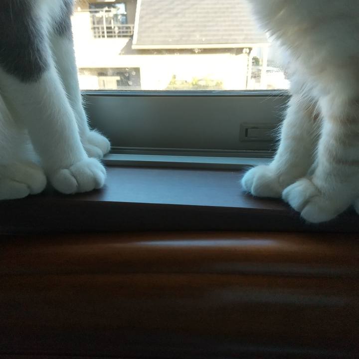 83fbee5c 08c0 4597 81d9 c8b1cee78ab4 1608422006644