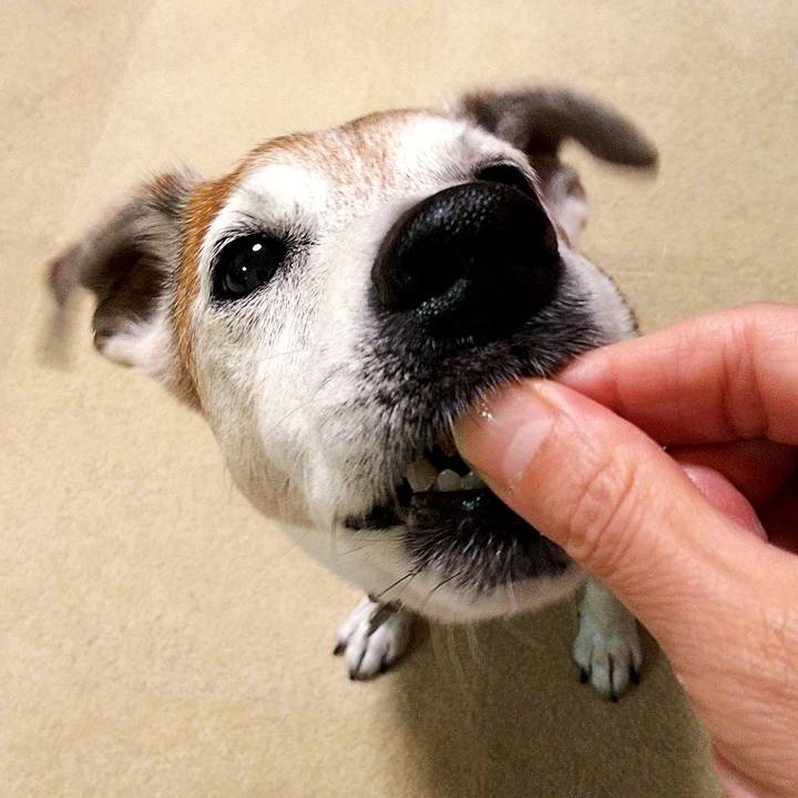 83fc0166 e160 4e24 96cc 10d806de95f4 1594035206287