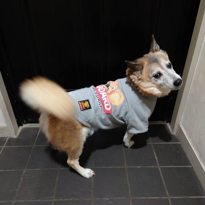 83fc058c 3d5f 4432 bb8f fafd446b75a9 1675779256328