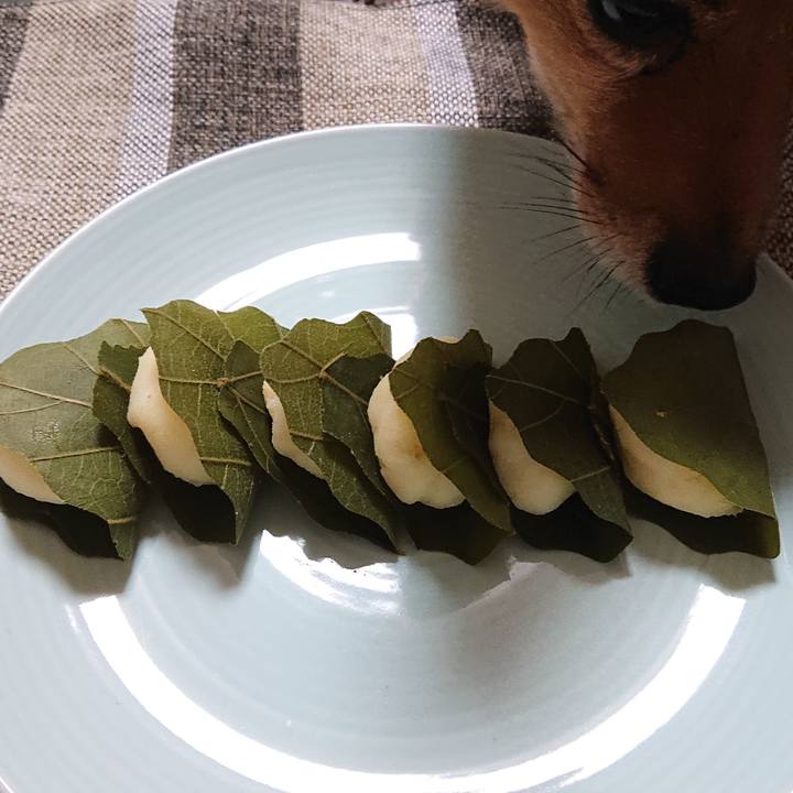 83fc0f75 fac6 49f6 884c 0481bc32dcd6 1556884643150