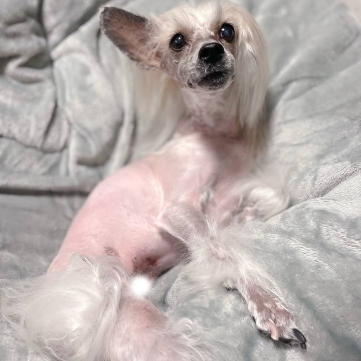 83fc1a0b 487e 4c73 8615 25f9720e0c1e 1765086434177