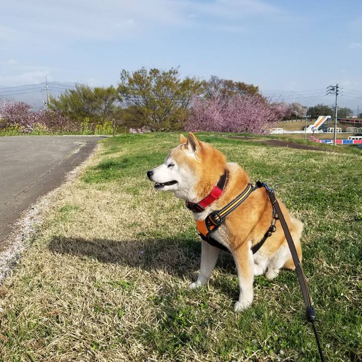 83fc7e66 ebe6 46b3 bdbd b6120f7837fa 1713510449792