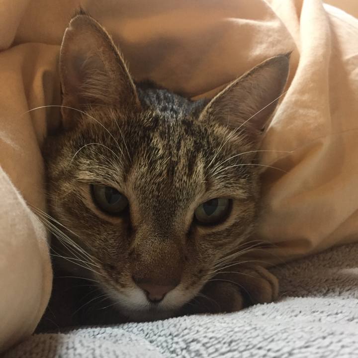 83fca173 1a1d 4fbc 9573 5ce6c9d76d45 1508028686940