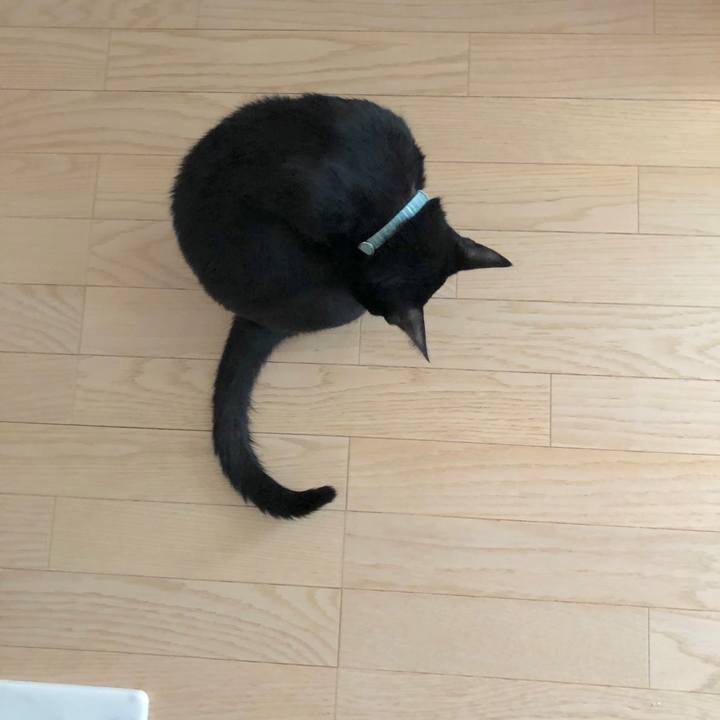 83fcbbc1 224f 498e 9fc9 72a314ff7d94 1566572456508