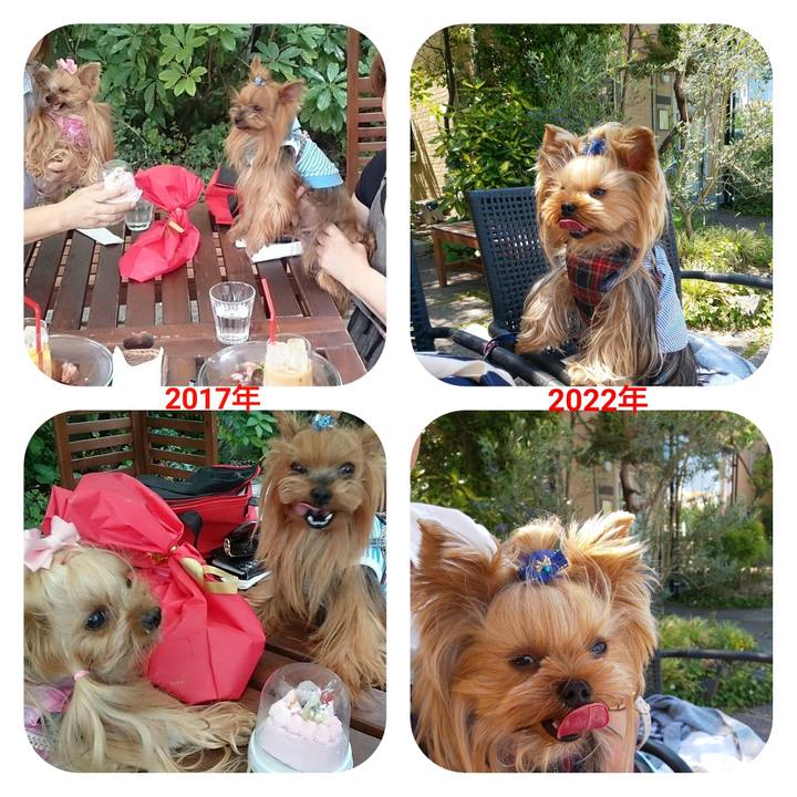 83fcd934 904a 4c7a 9bf0 0366c133e822 1654571558429