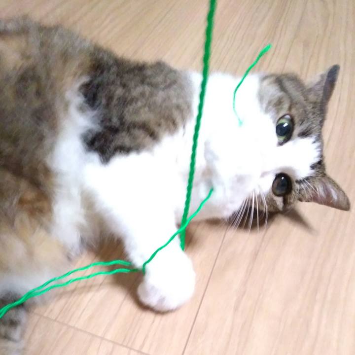 83fcd9e3 92a0 4536 a71b 0c233b85b8b3 1530536638648