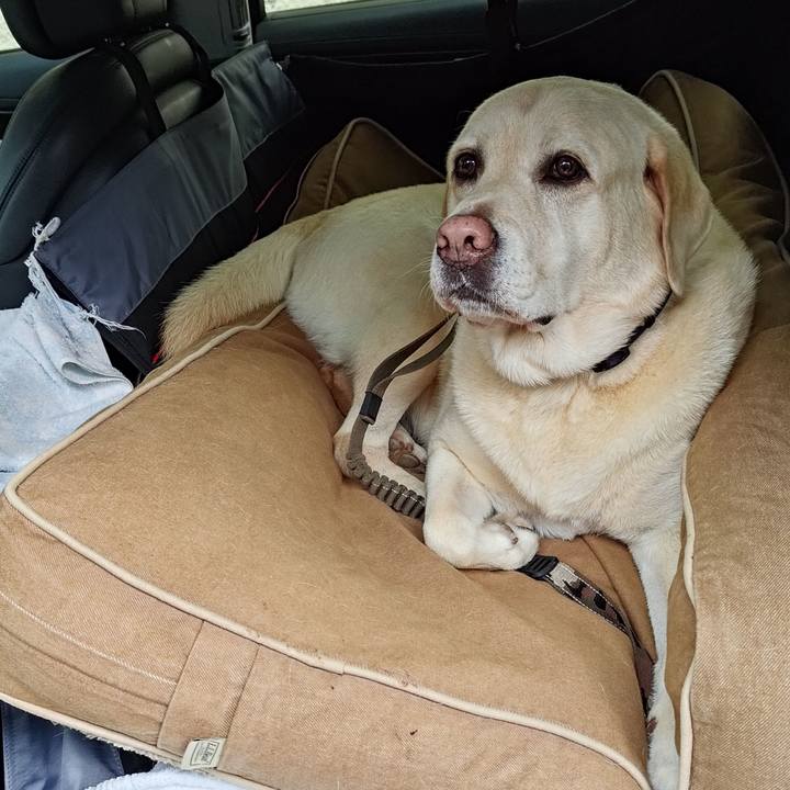 83fce62b d364 4406 b526 5446565a76f0 1727926987540