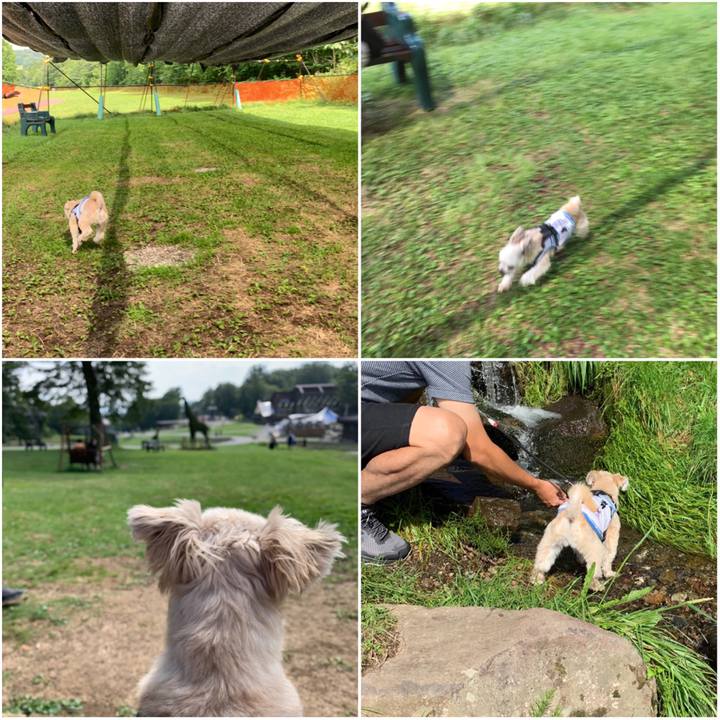 83fd0572 9516 4163 8a75 32b14e6af46e 1566872492778