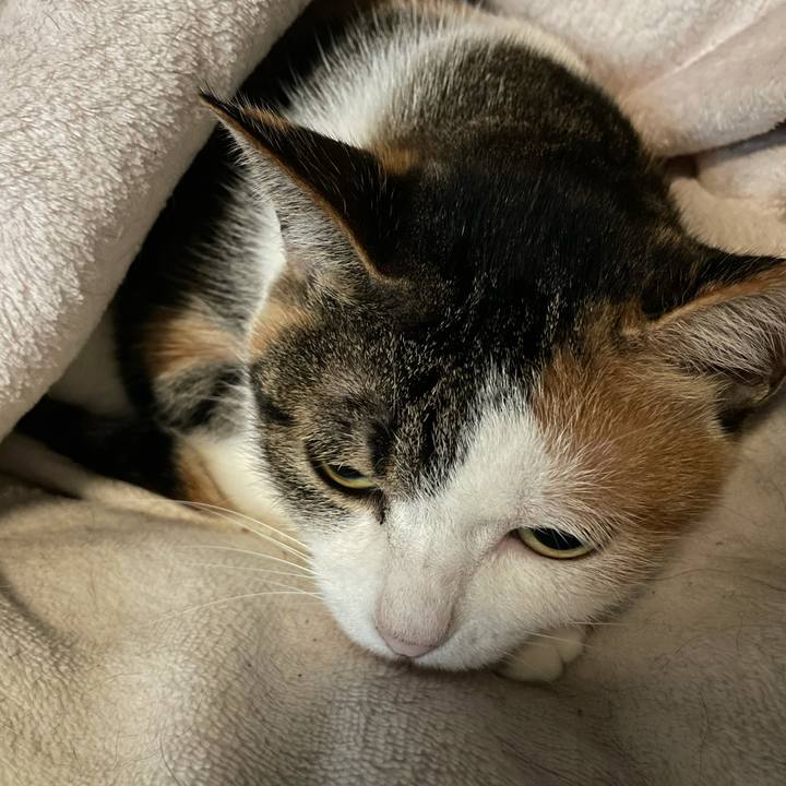 83fd1b3c 8b6a 4aed b61b 1479ea132662 1637015181739