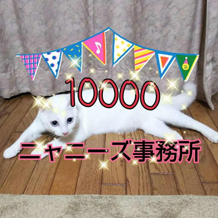 83fd2045 9e49 4ca6 9a06 68bd1c258db6 1535026651344