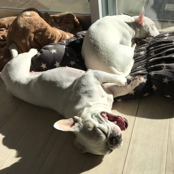 83fd52c0 810b 4117 b6f5 890bff005418 1516879892363