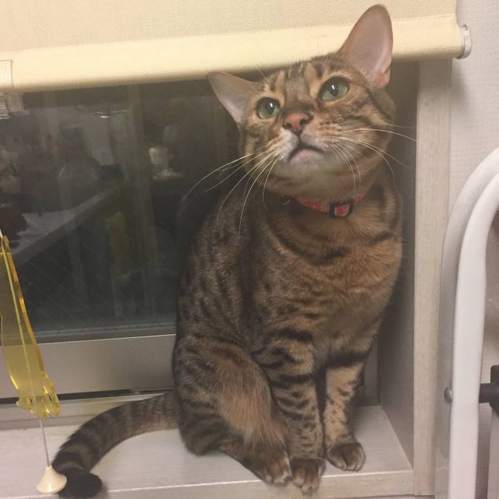 83fd55a9 5a87 4aaa 9f3f 3db298f49b10 1533805877659