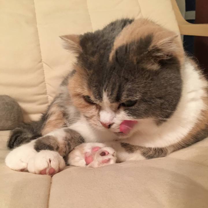 83fd82e4 4650 47cd 9ea0 94c8595162b4 1549099778801