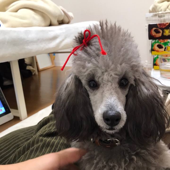 83fd9472 3231 424a 8ac0 125b914aedae 1609672895004