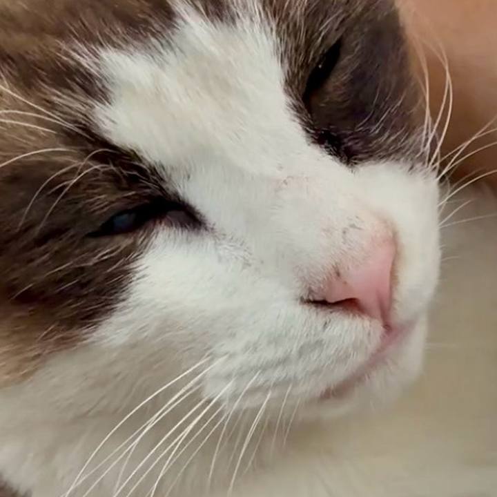 83fd9919 dae5 4152 afd5 4d1fe6004ad1 1765248295663