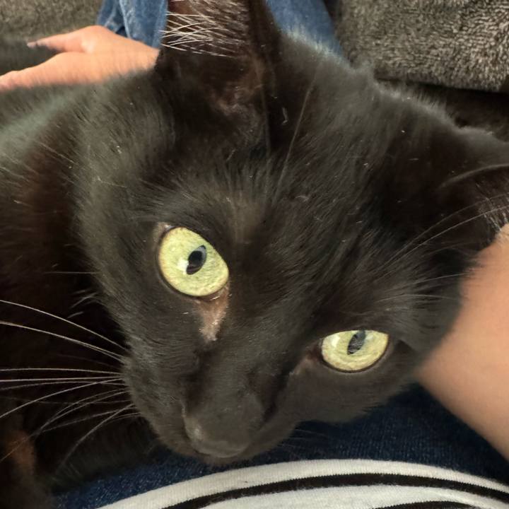 83fda755 2ad1 4065 a071 cbbfbd41e1e7 1713093004012