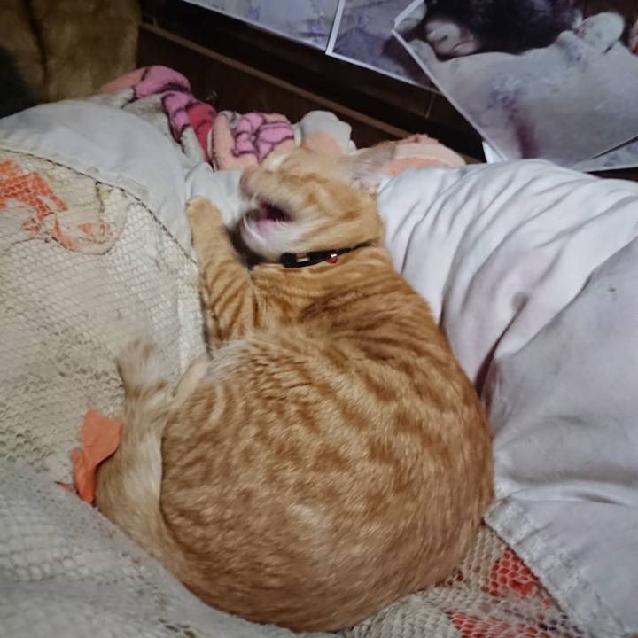 83fdaba8 cd0c 4a5d 967f f556afbbc9ca 1642970415859