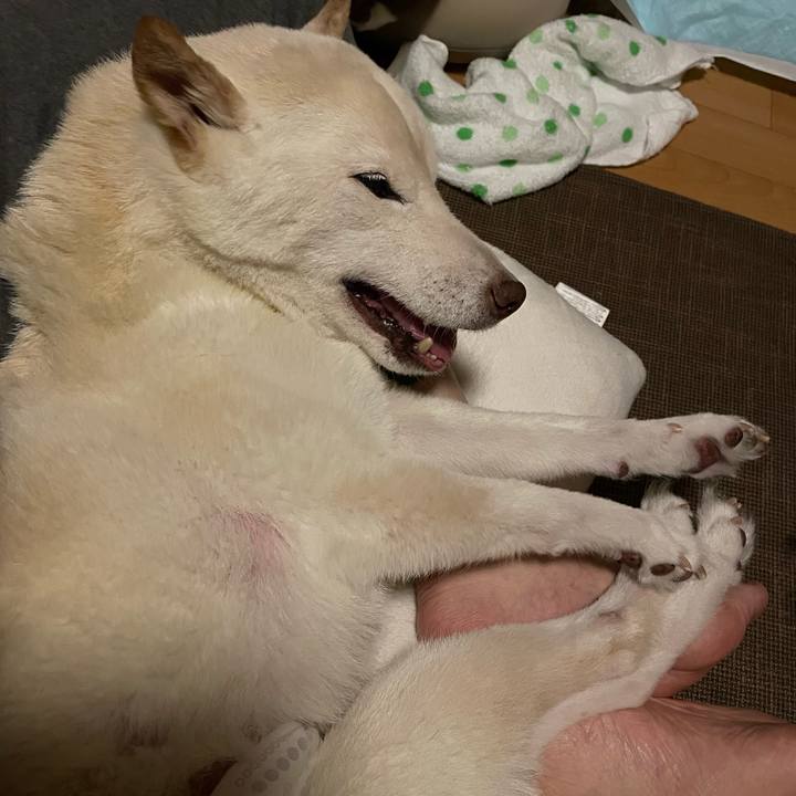 83fdaf38 c1ee 4fda 94a7 28845a487b68 1667423047665