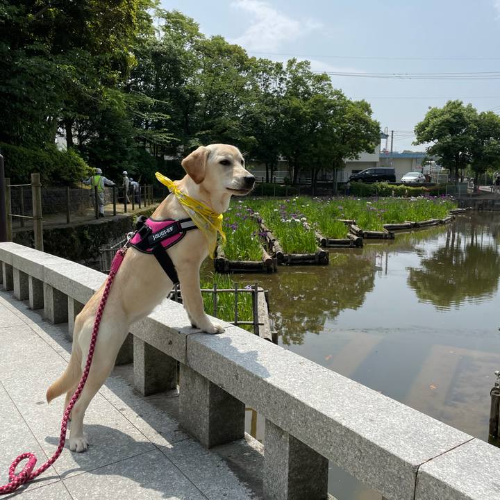 83fdb8c6 9675 47b2 81c1 2347bf181630 1621928745560