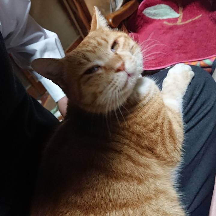 83fdf000 8063 4bbf bbad ec7d2054f42c 1580720865568