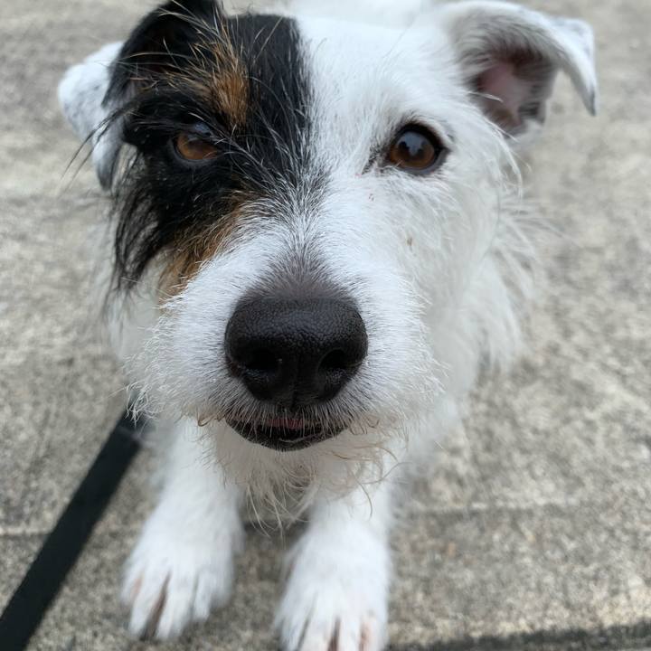 83fdfe4e ae9b 4ea2 8b71 547a9dd2dddd 1592008110852