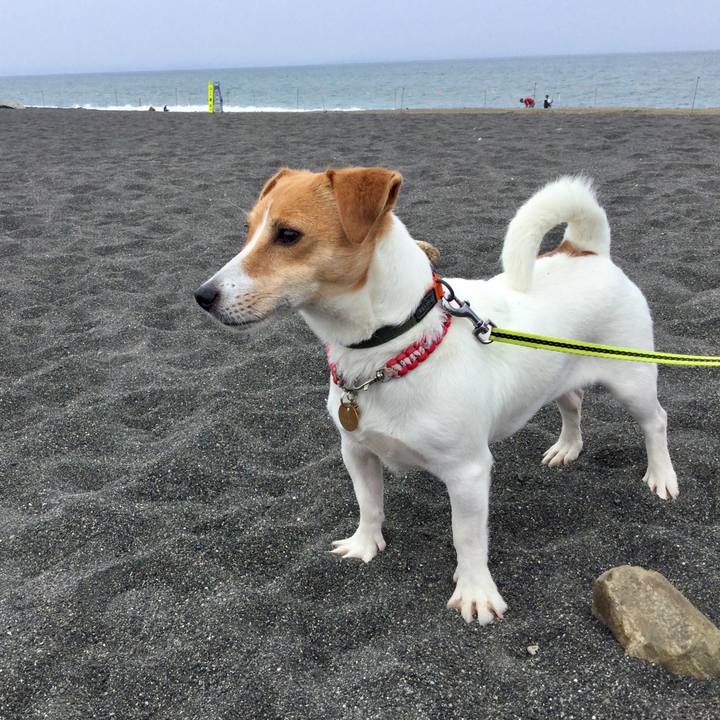 83fe0a71 57f6 4d93 acc5 3e9bed2ef35e 1561265486946