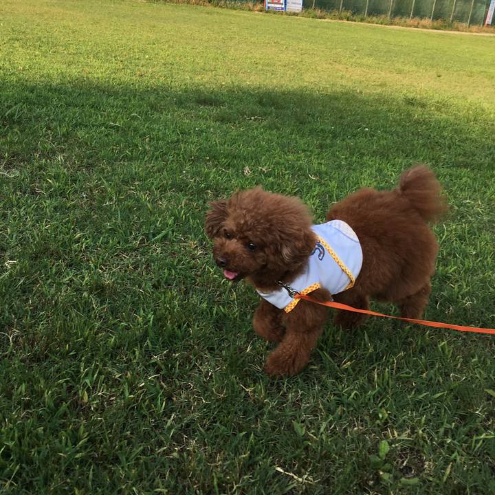 83fe30bd 80c7 4b99 a261 a7521211f31d 1531696190950