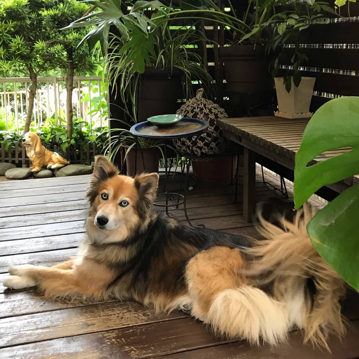 83fe5761 e0dd 463c 99f0 c99f3d5a0706 1590905394674