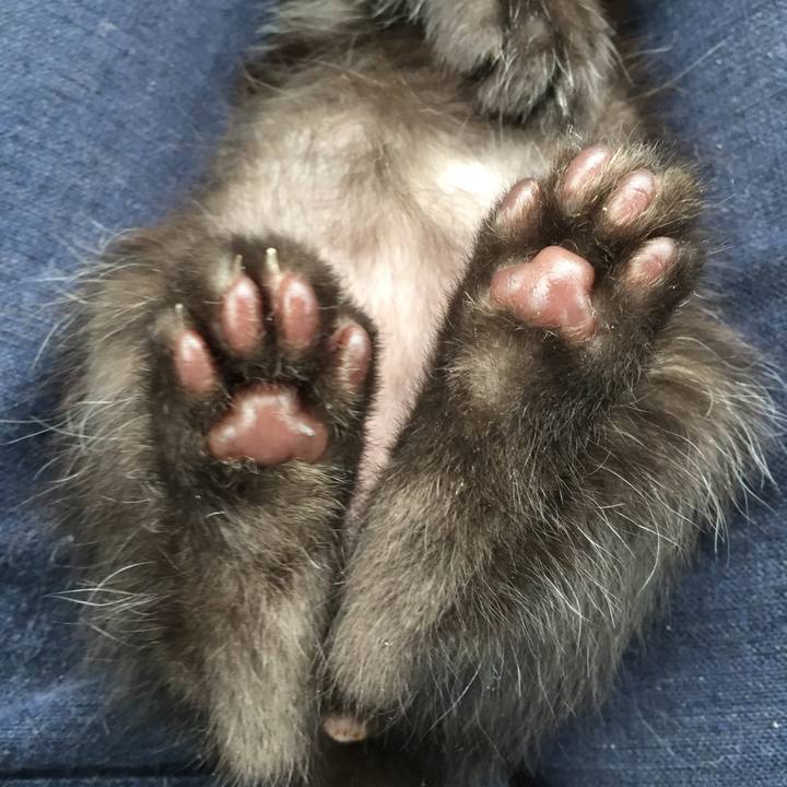 83ff046d 40c7 4733 a7cc 06c2e503b3e8 1556512584119