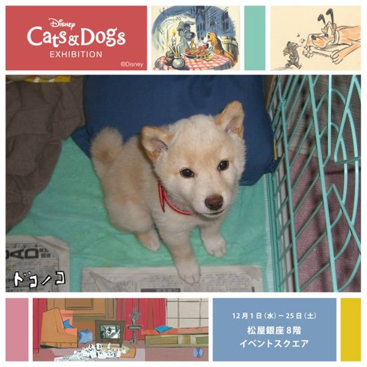 83ff3a82 4fee 4e47 91ee a54d0ab53a90 1638777463688