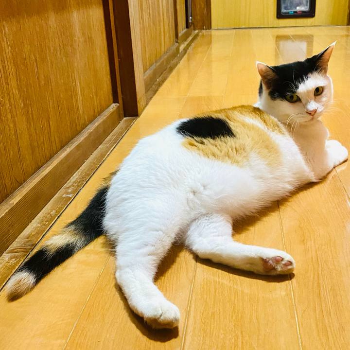 83ff5c8f 230f 4033 9199 c54c4459bb89 1690116547861