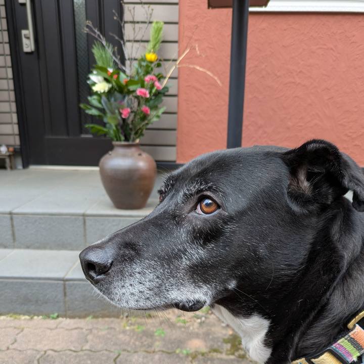 83ff8f84 2cfd 48e0 9727 fba8fa94a87e 1735518337466