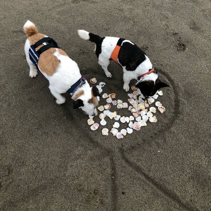 83ffc434 7d42 4cb3 9ad5 03b200841ef7 1560907562597