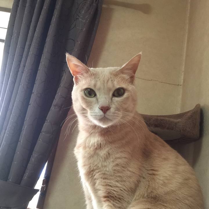 83ffd5bd afe4 4ad5 876b 636bb1ee5e69 1515795957821