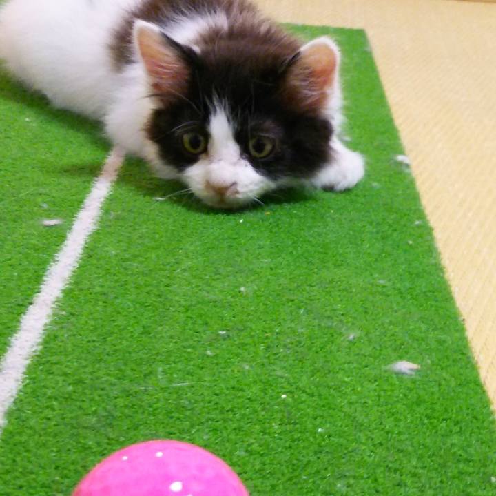 83ffda5d f5b6 4d41 a736 ba2c46beac0c 1619171538574