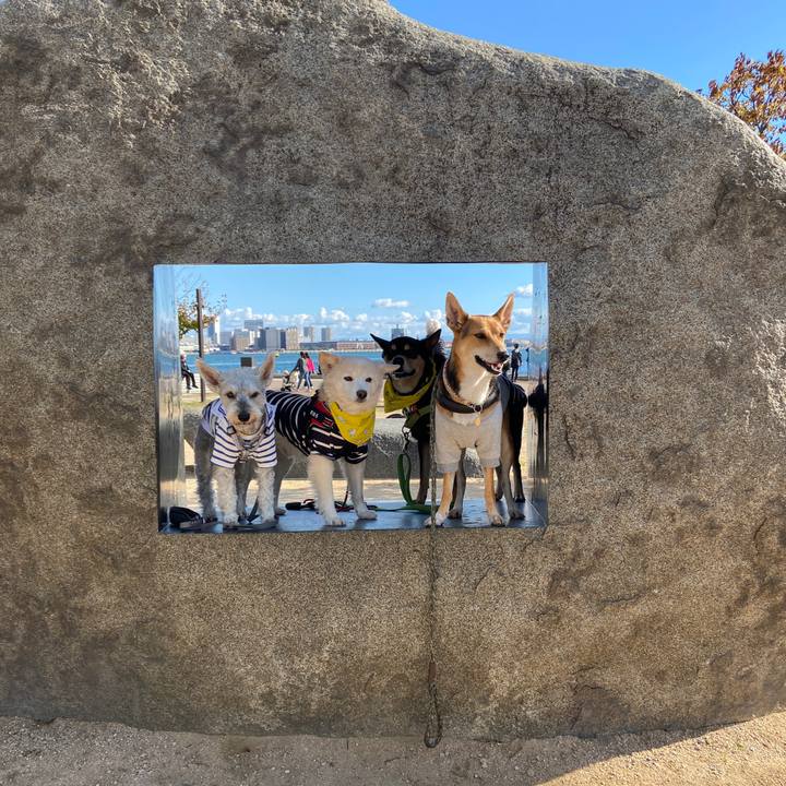 8400151a 5ce2 4276 ab1d 6ccdde07c492 1700021788982