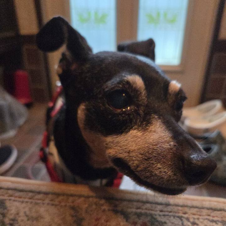 84002271 d04d 4659 9f41 5b42457bd43d 1757797709618