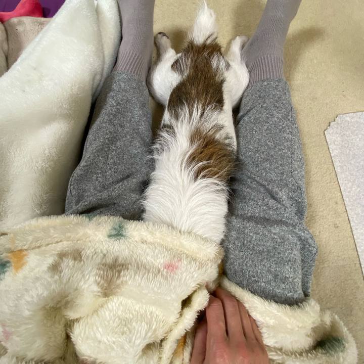 84002dad 04fd 4077 a784 5bebdc6a7310 1702297625225