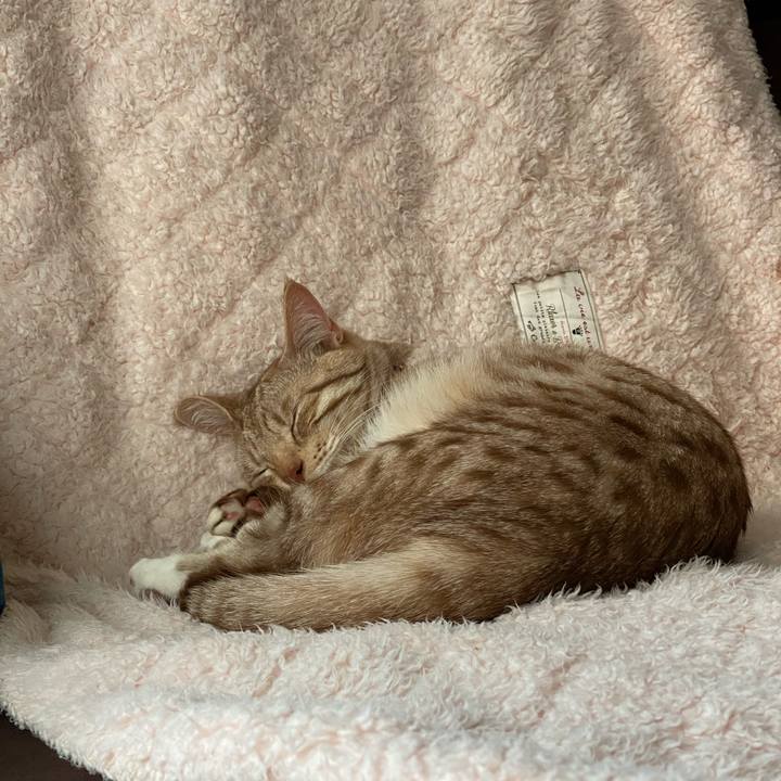 8400430c d0e5 4c38 9e2c 8be4bfab5849 1619658514668