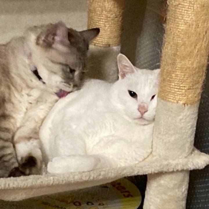 8400489e ef91 4bdd 8d08 6d2cab0ed5a7 1772454635285