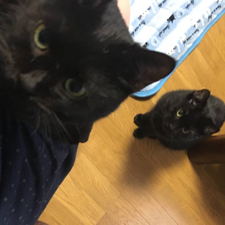 84008a73 274c 4f52 b84c 890de89cb589 1534479660146