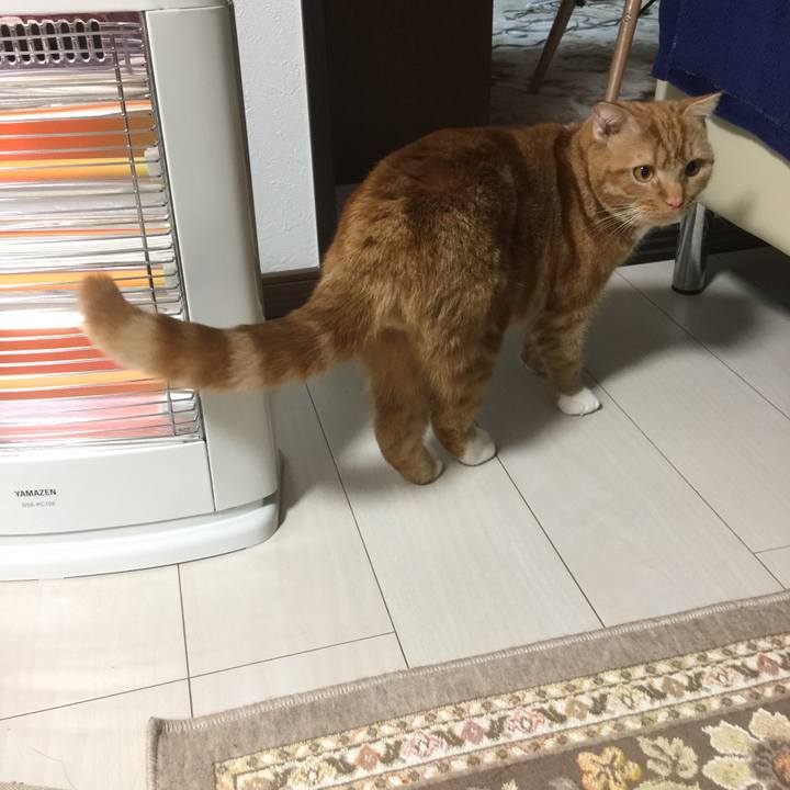 84009a57 8642 4246 8165 1882ca9fb529 1517147406409