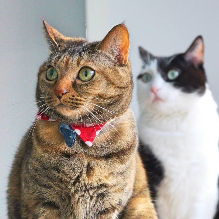 8400ca0c fe71 4395 a514 dcb938dc876f 1556939163373