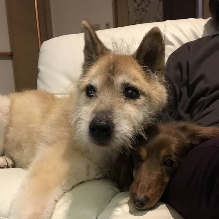 8400cd81 0efd 4d37 87f9 59af32557a27 1648908757732