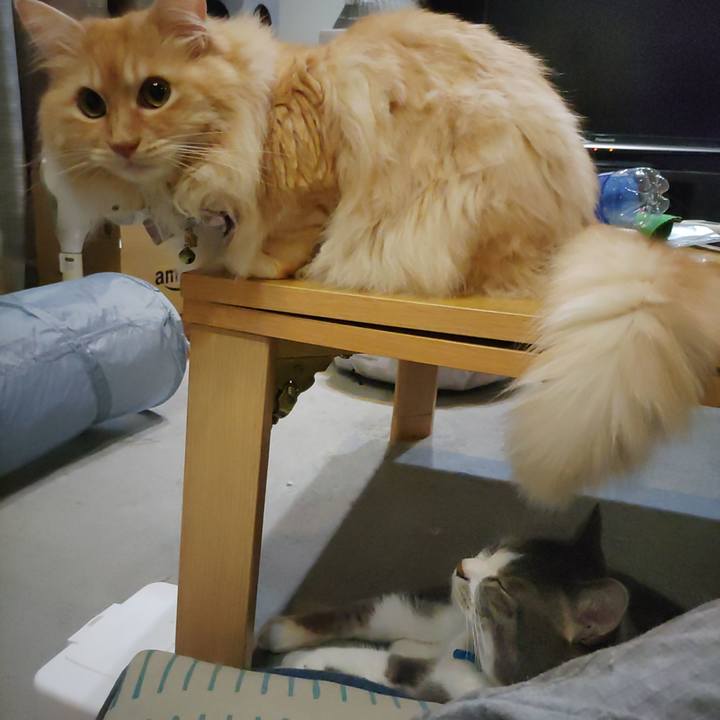 840115e6 cf7d 4e29 9884 1f3669c9c495 1719404122089